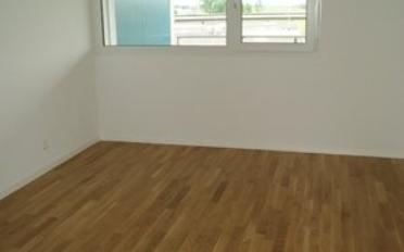 Apartment 3.5 rooms - image - 2