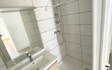 Apartment 3.5 rooms - image - 5