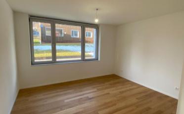 Wohnung 2.5 Zimmer - image - 4