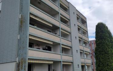 Wohnung 3 Zimmer - image - 9