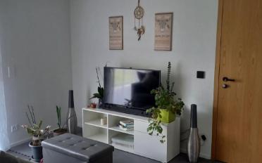 Wohnung ein Zimmer - image - 7