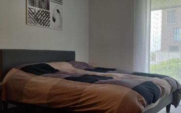Wohnung ein Zimmer - image - 8