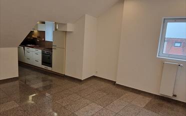 Wohnung ein Zimmer - image - 2