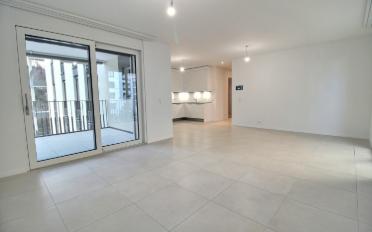 Wohnung 2.5 Zimmer - image - 3