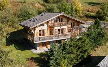 Chalet 7 Zimmer - image - 1