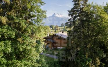 Chalet 6.5 rooms - image - 8