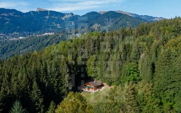 Chalet 4.5 rooms - image - 4