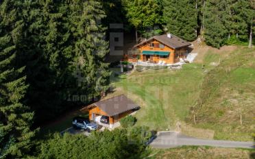 Chalet 4.5 rooms - image - 1