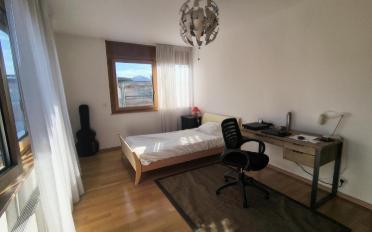 Single room 1 room - image - 1