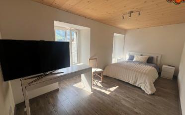 Wohnung 2.5 Zimmer - image - 4