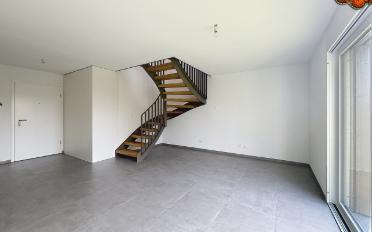 Wohnung 2.5 Zimmer - image - 4