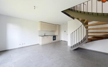 Wohnung 2.5 Zimmer - image - 2