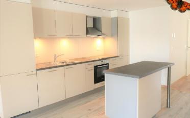 Loft 1 room - image - 7