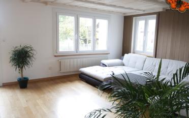 Einfamilienhaus 4.5 Zimmer - image - 3