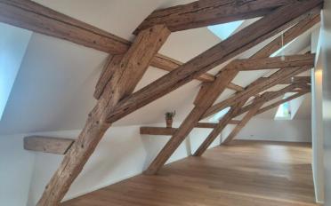 Loft 1 pièce - image - 3