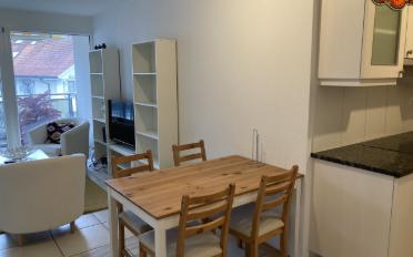Wohnung 3.5 Zimmer - image - 10