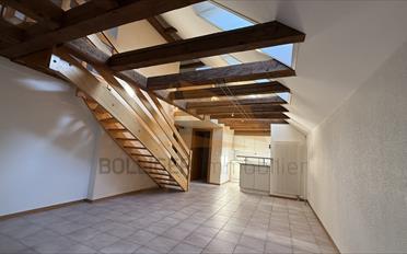 Wohnung 4.5 Zimmer - image - 5