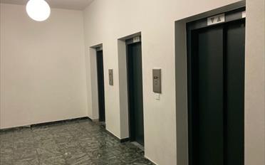 Appartement 1.5 pièces - image - 6