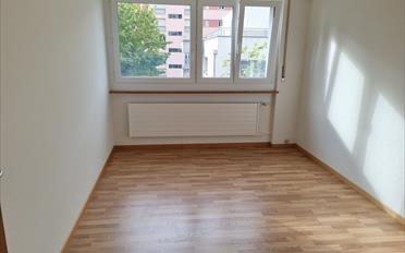 Wohnung 3 Zimmer - image - 4