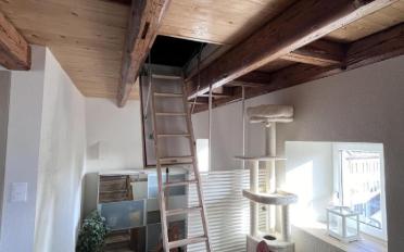 Wohnung 3.5 Zimmer - image - 6