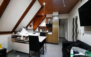 Wohnung 1.5 Zimmer - image - 4