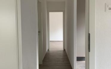 Apartment 2.5 rooms - image - 9
