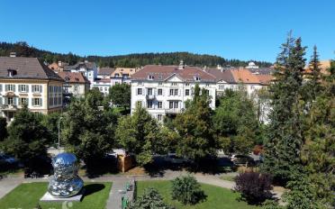 Wohnung 2.5 Zimmer - image - 6