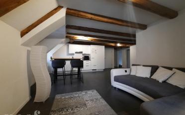 Appartement 4.5 pièces - image - 2