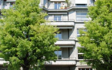Apartment 3.5 rooms - image - 1
