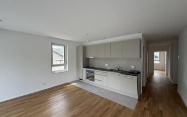 Appartement 3.5 pièces - image - 1