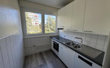 Wohnung 3 Zimmer - image - 4