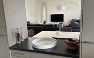 Attikawohnung 4 Zimmer - image - 2