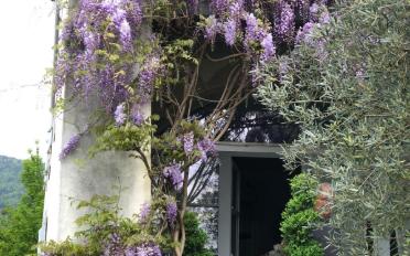 Maison 7 pièces - image - 7