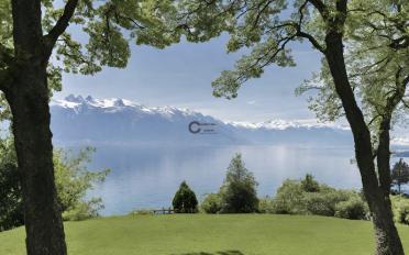 Terrain à bâtir - image - 1