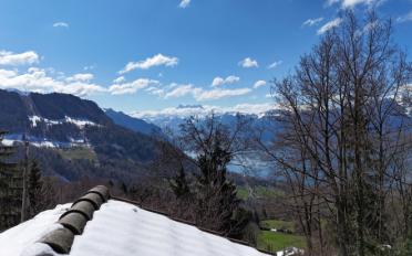 Chalet 3.5 Zimmer - image - 3
