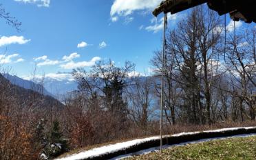 Chalet 3.5 Zimmer - image - 9