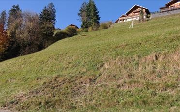 Building land - image - 5