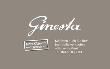 Einfamilienhaus 8.5 Zimmer - image - 5