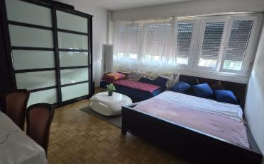 Wohnung 1.5 Zimmer - image - 1