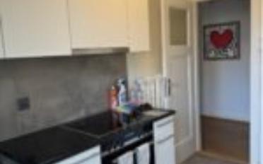 Appartement meublé 1.5 pièces - image - 8