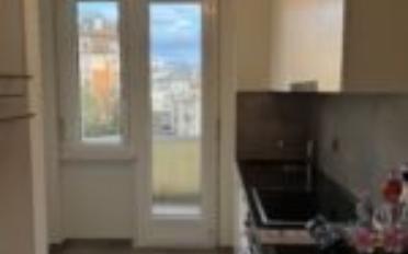 Appartement meublé 1.5 pièces - image - 7