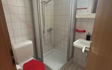 Appartement meublé 1.5 pièces - image - 3