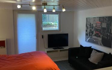 Appartement meublé 1.5 pièces - image - 7