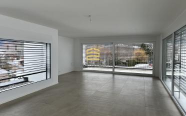 Villa 4.5 pièces - image - 9