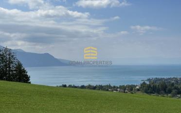 Wohnung - image - 3