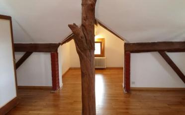 Apartment 5.5 rooms - image - 4