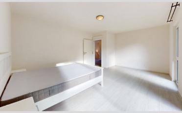 Maison contiguë - image - 12