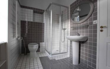 Attic flat 5.5 rooms - image - 7