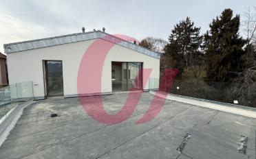 Duplex 5.5 pièces - image - 5