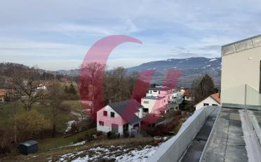 Duplex 5.5 pièces - image - 2